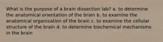 What is the purpose of a brain dissection lab? a. to determine the anatomical orientation of the brain b. to examine the anatomical organization of the brain c. to examine the cellular structure of the brain d. to determine biochemical mechanisms in the brain