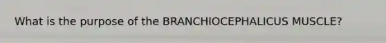 What is the purpose of the BRANCHIOCEPHALICUS MUSCLE?