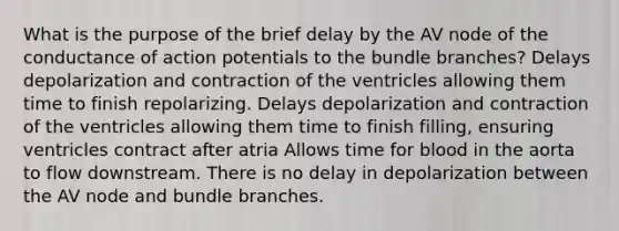 What is the purpose of the brief delay by the AV node of the conductance of action potentials to the bundle branches? Delays depolarization and contraction of the ventricles allowing them time to finish repolarizing. Delays depolarization and contraction of the ventricles allowing them time to finish filling, ensuring ventricles contract after atria Allows time for blood in the aorta to flow downstream. There is no delay in depolarization between the AV node and bundle branches.