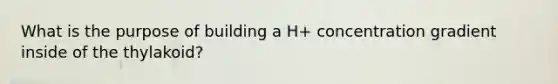 What is the purpose of building a H+ concentration gradient inside of the thylakoid?