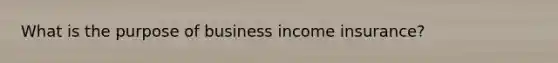 What is the purpose of business income insurance?