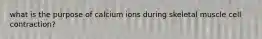 what is the purpose of calcium ions during skeletal muscle cell contraction?
