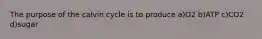 The purpose of the calvin cycle is to produce a)O2 b)ATP c)CO2 d)sugar