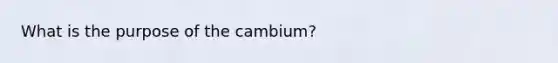 What is the purpose of the cambium?