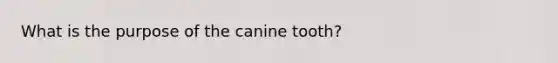 What is the purpose of the canine tooth?