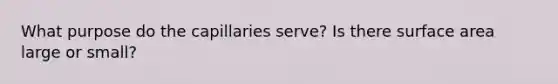 What purpose do the capillaries serve? Is there surface area large or small?