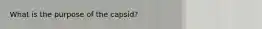 What is the purpose of the capsid?
