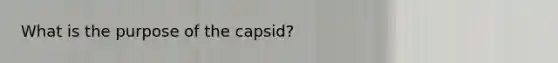 What is the purpose of the capsid?