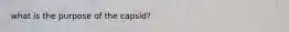 what is the purpose of the capsid?