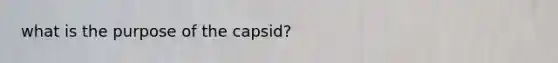 what is the purpose of the capsid?