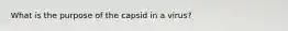 What is the purpose of the capsid in a virus?