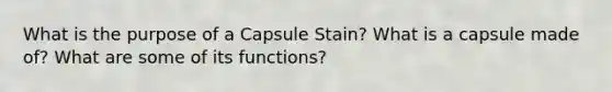 What is the purpose of a Capsule Stain? What is a capsule made of? What are some of its functions?