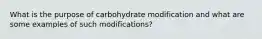 What is the purpose of carbohydrate modification and what are some examples of such modifications?