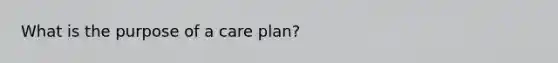 What is the purpose of a care plan?