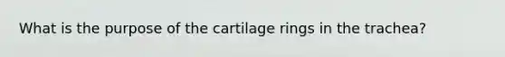 What is the purpose of the cartilage rings in the trachea?