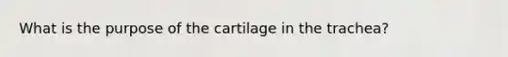 What is the purpose of the cartilage in the trachea?