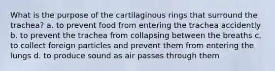 What is the purpose of the cartilaginous rings that surround the trachea? a. to prevent food from entering the trachea accidently b. to prevent the trachea from collapsing between the breaths c. to collect foreign particles and prevent them from entering the lungs d. to produce sound as air passes through them