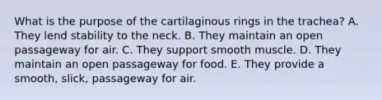 What is the purpose of the cartilaginous rings in the trachea? A. They lend stability to the neck. B. They maintain an open passageway for air. C. They support smooth muscle. D. They maintain an open passageway for food. E. They provide a smooth, slick, passageway for air.