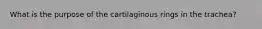 What is the purpose of the cartilaginous rings in the trachea?