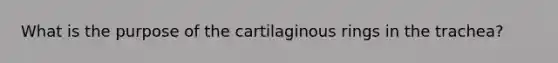 What is the purpose of the cartilaginous rings in the trachea?