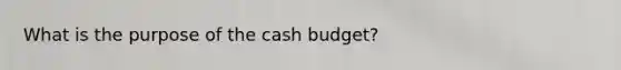 What is the purpose of the cash budget?