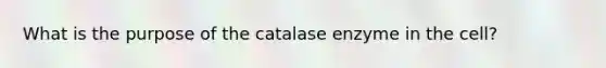 What is the purpose of the catalase enzyme in the cell?