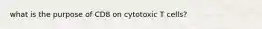 what is the purpose of CD8 on cytotoxic T cells?