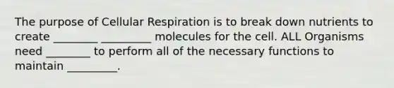 The purpose of Cellular Respiration is to break down nutrients to create ________ _________ molecules for the cell. ALL Organisms need ________ to perform all of the necessary functions to maintain _________.