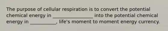 The purpose of cellular respiration is to convert the potential chemical energy in _________________ into the potential chemical energy in ___________, life's moment to moment energy currency.