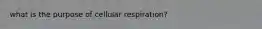 what is the purpose of cellular respiration?