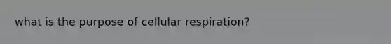 what is the purpose of cellular respiration?