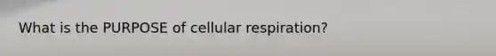 What is the PURPOSE of <a href='https://www.questionai.com/knowledge/k1IqNYBAJw-cellular-respiration' class='anchor-knowledge'>cellular respiration</a>?