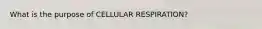 What is the purpose of CELLULAR RESPIRATION?