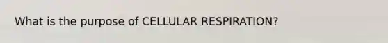 What is the purpose of <a href='https://www.questionai.com/knowledge/k1IqNYBAJw-cellular-respiration' class='anchor-knowledge'>cellular respiration</a>?