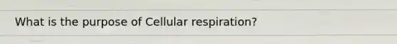 What is the purpose of Cellular respiration?