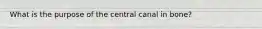 What is the purpose of the central canal in bone?