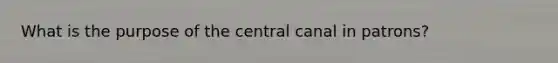 What is the purpose of the central canal in patrons?