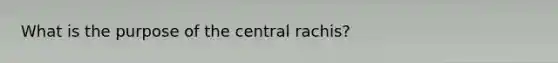 What is the purpose of the central rachis?