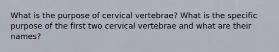 What is the purpose of cervical vertebrae? What is the specific purpose of the first two cervical vertebrae and what are their names?