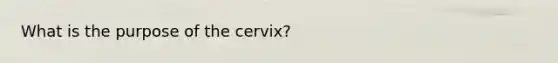 What is the purpose of the cervix?