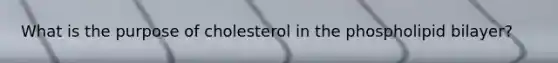 What is the purpose of cholesterol in the phospholipid bilayer?