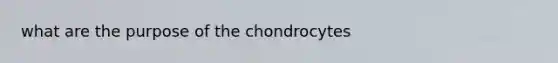 what are the purpose of the chondrocytes