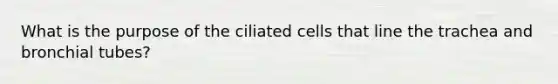 What is the purpose of the ciliated cells that line the trachea and bronchial tubes?