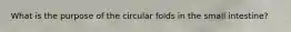 What is the purpose of the circular folds in the small intestine?