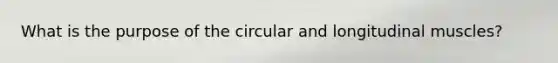 What is the purpose of the circular and longitudinal muscles?