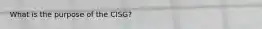 What is the purpose of the CISG?