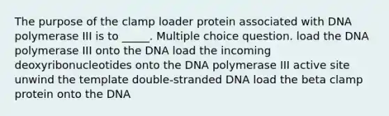 The purpose of the clamp loader protein associated with DNA polymerase III is to _____. Multiple choice question. load the DNA polymerase III onto the DNA load the incoming deoxyribonucleotides onto the DNA polymerase III active site unwind the template double-stranded DNA load the beta clamp protein onto the DNA