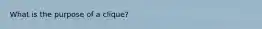 What is the purpose of a clique?