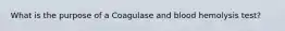 What is the purpose of a Coagulase and blood hemolysis test?