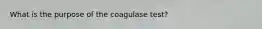 What is the purpose of the coagulase test?